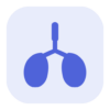 Custom icon